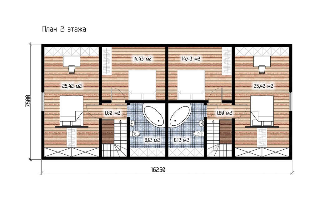Muscari — изображение 3