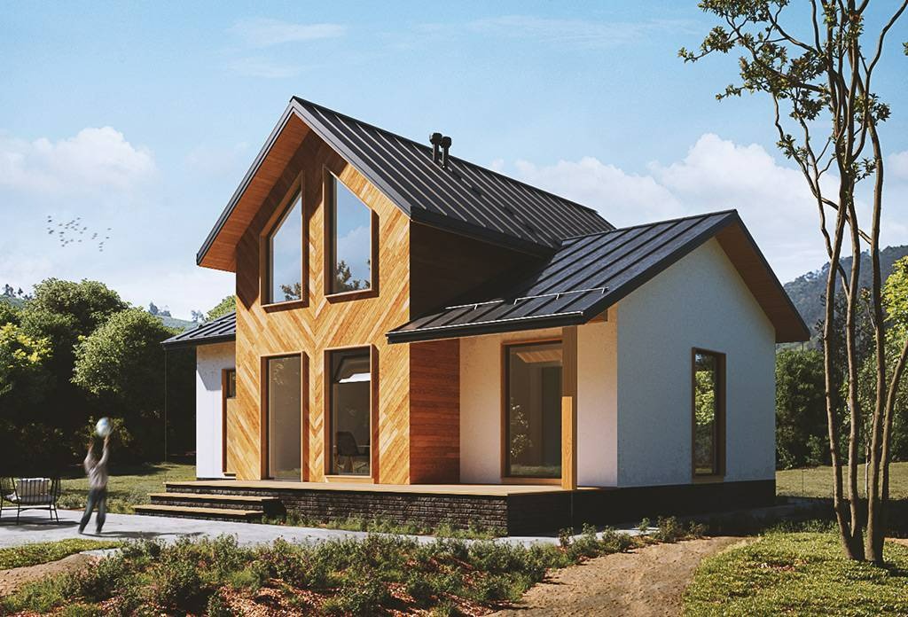 Lesnoy — изображение 2